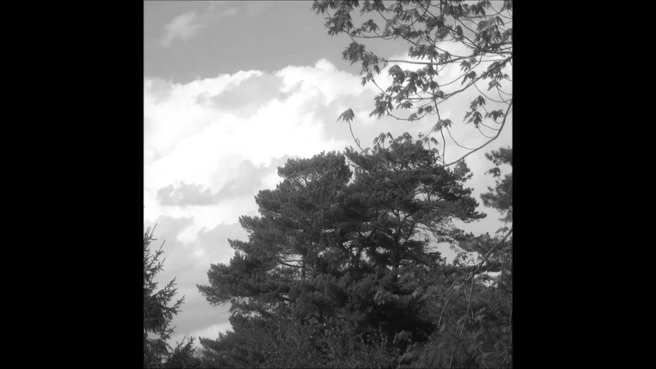 Wind... Gedicht vertont