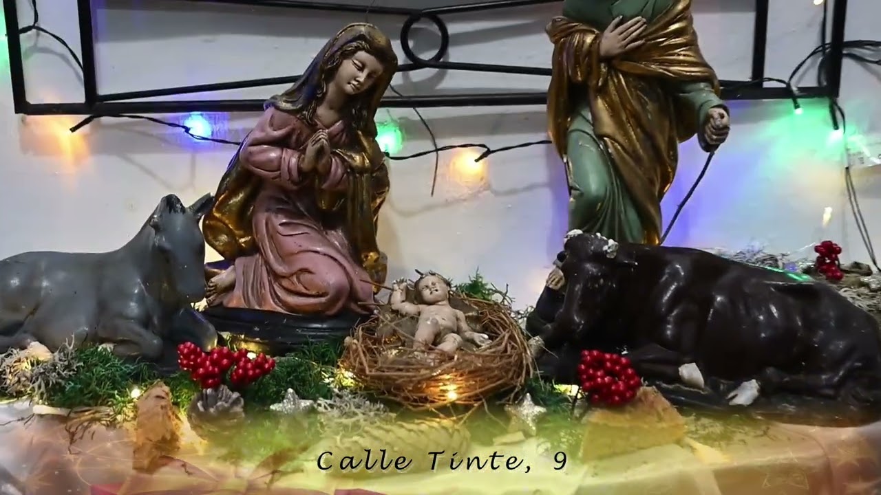 NAVIDAD EN LOS PATIOS DE CÓRDOBA 2025 (Ruta 8)