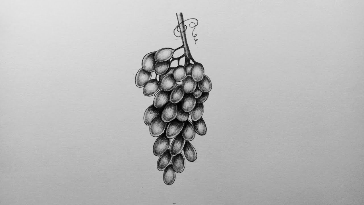 How to draw grapes easy and step by step or shading for beginners tutorial