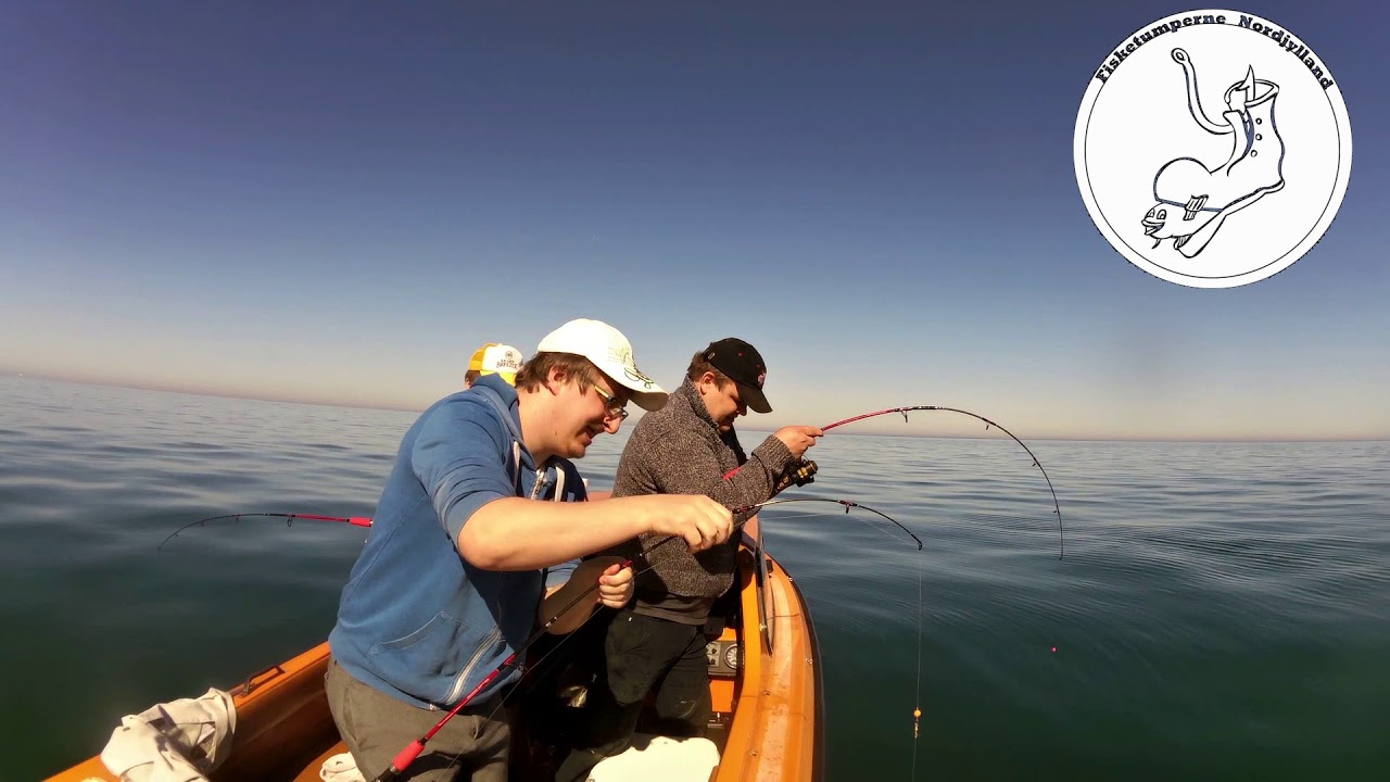 Essensen af fiske hygge - Hirtshals 22-04-2020