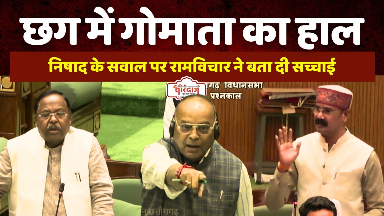 गोमाता की हालत सुनकर आ जाएंगे आंसू | विधानसभा में निषाद के सवाल से सामने आया सच | @tirandaj