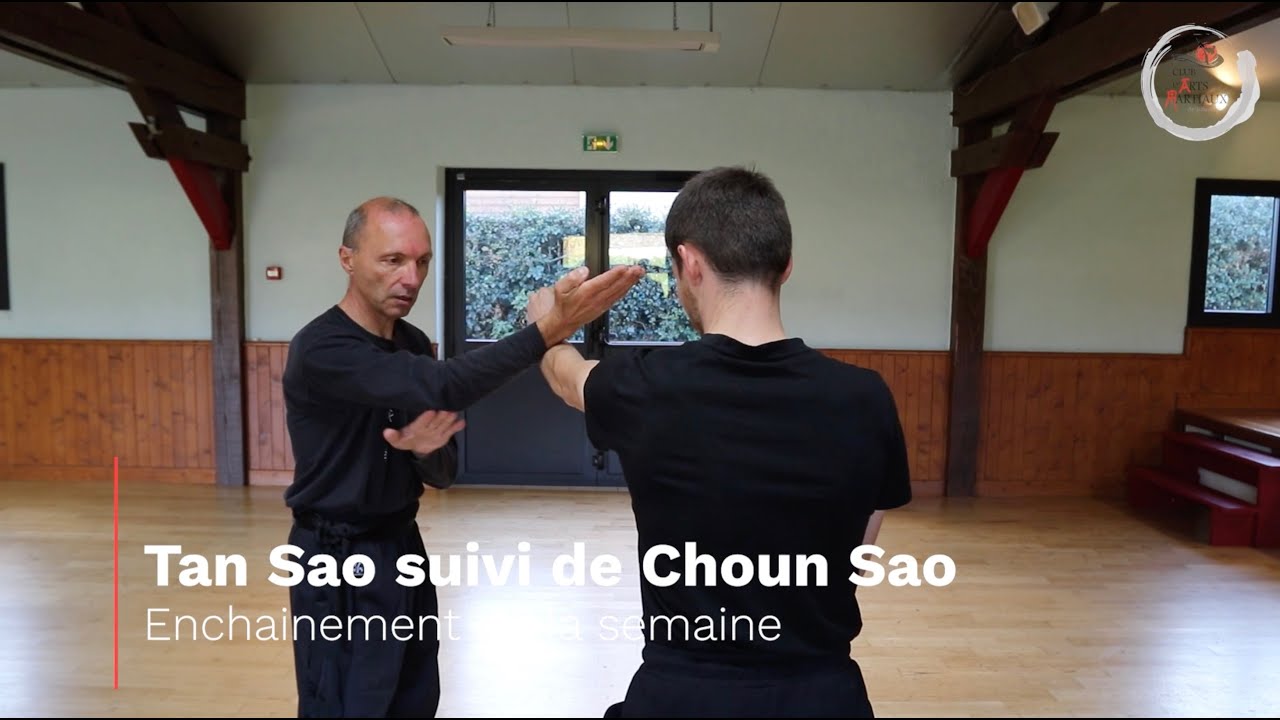 3 ripostes Wing Chun avec la déviation Tan sao