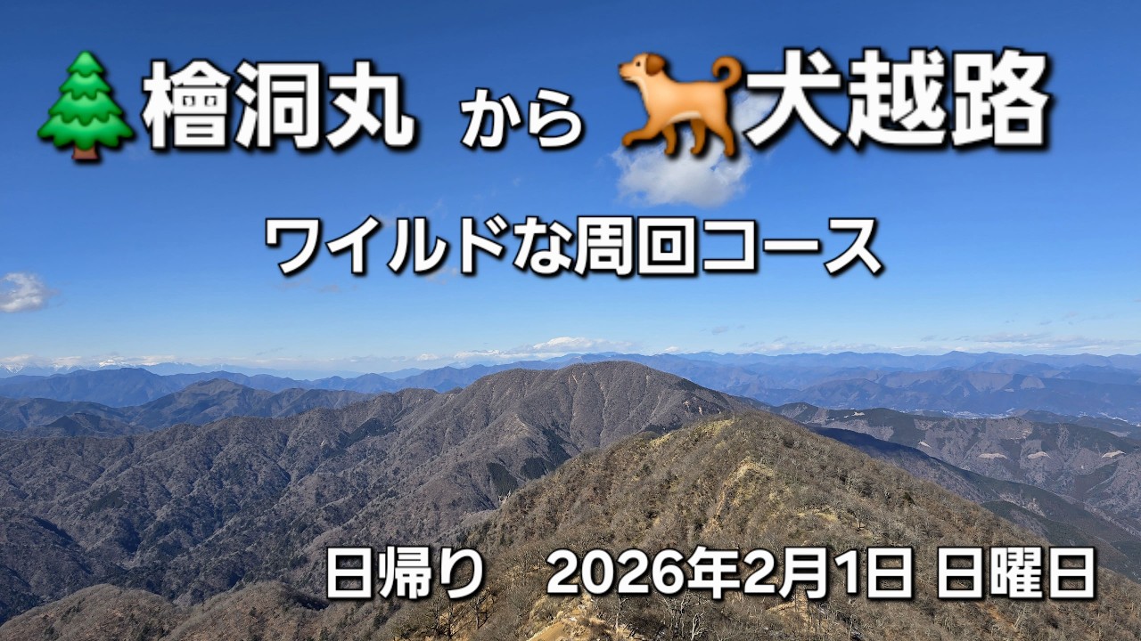 🌲檜洞丸から🐕犬越路周りのワイルド周回コース