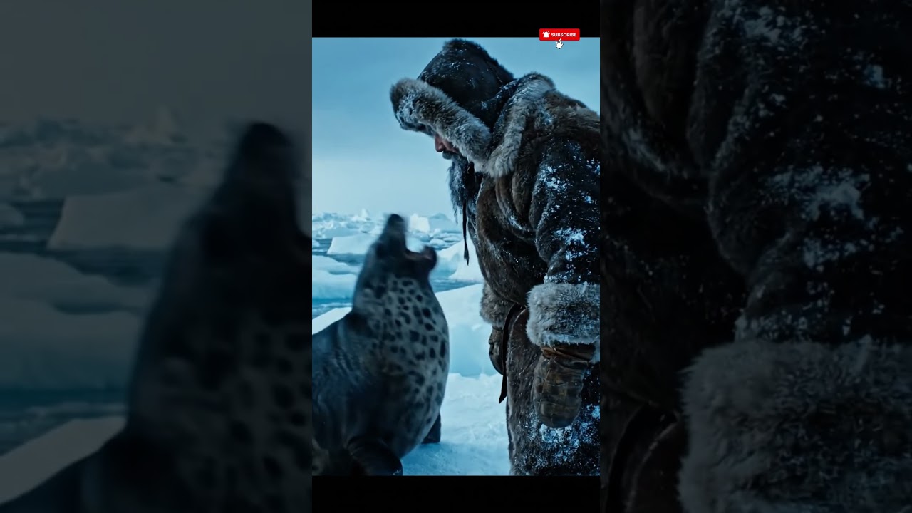 A fateful fall in the snow: from being attacked to a strange friendship with a seal.🐋