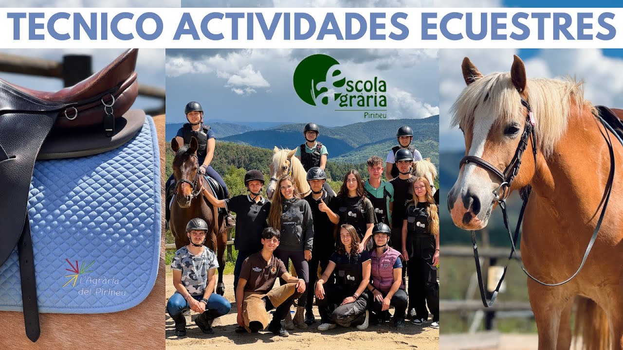 Escola Agraria Pirineu👩🏻‍🌾🐴 Estudiar caballos y vivir ahí en residencia🏰 formación Grado medio TAE!📖