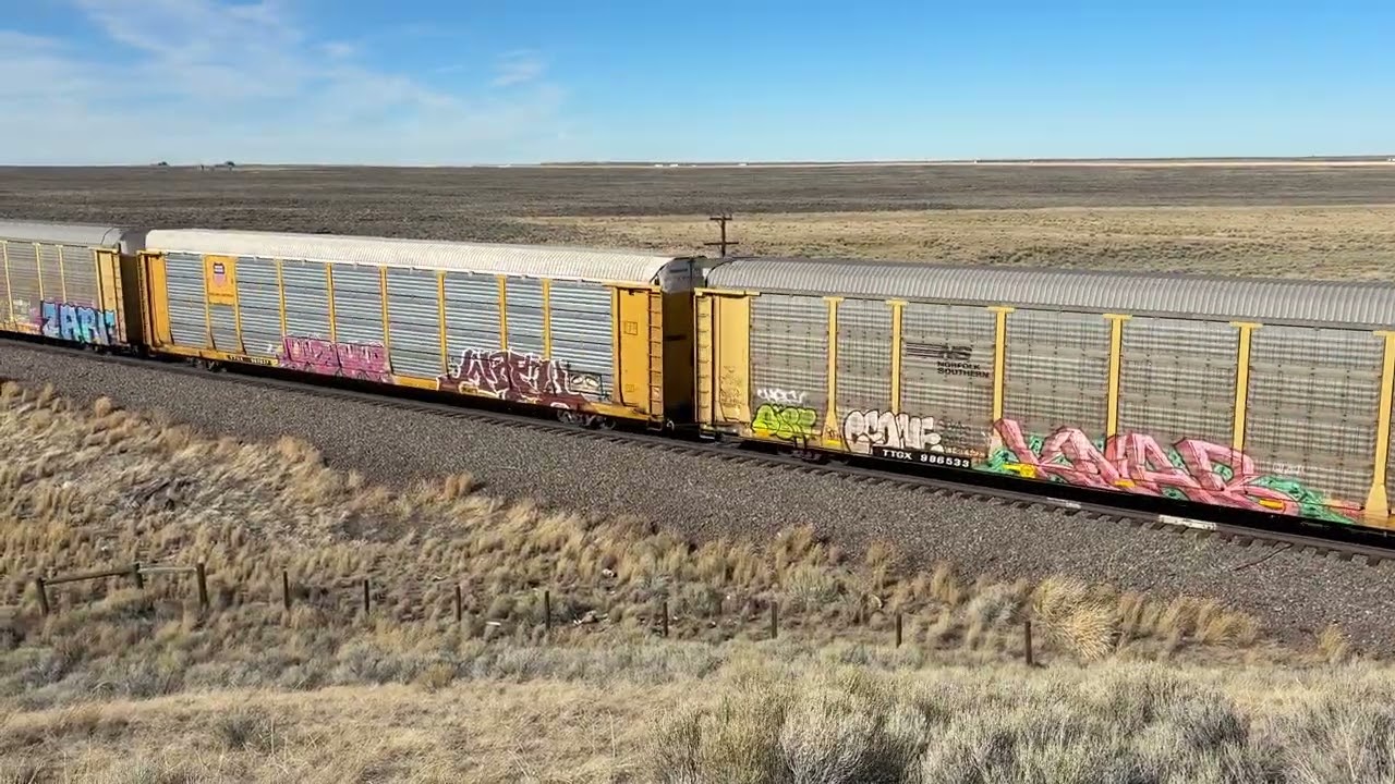Mixed freight in Wyoming on a postcard-perfect day