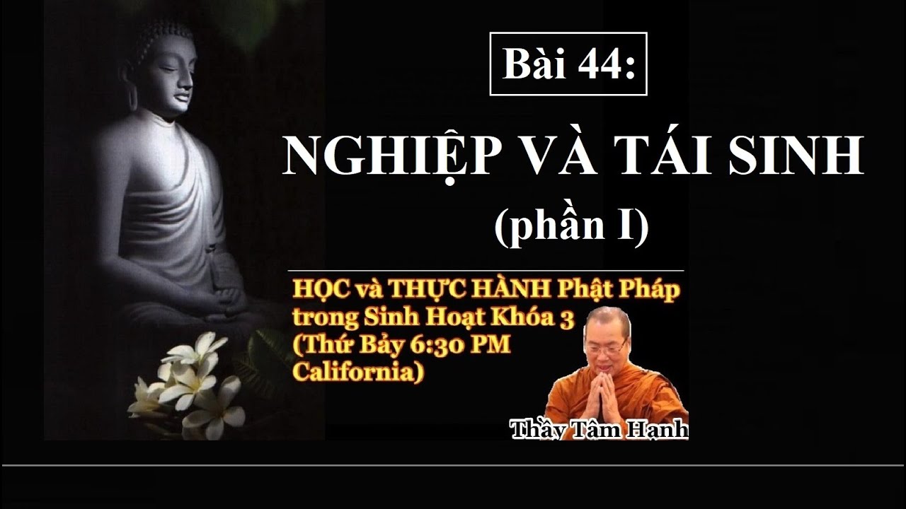 Bài 44 - Nghiệp và tái sinh - phần 1 (22/10/2022).