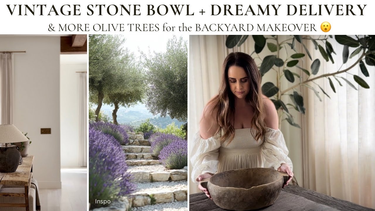 High-End Home Styling + Backyard Olive Tree Transformation | Earthy, Vintage & Organic Home Design🫒✨