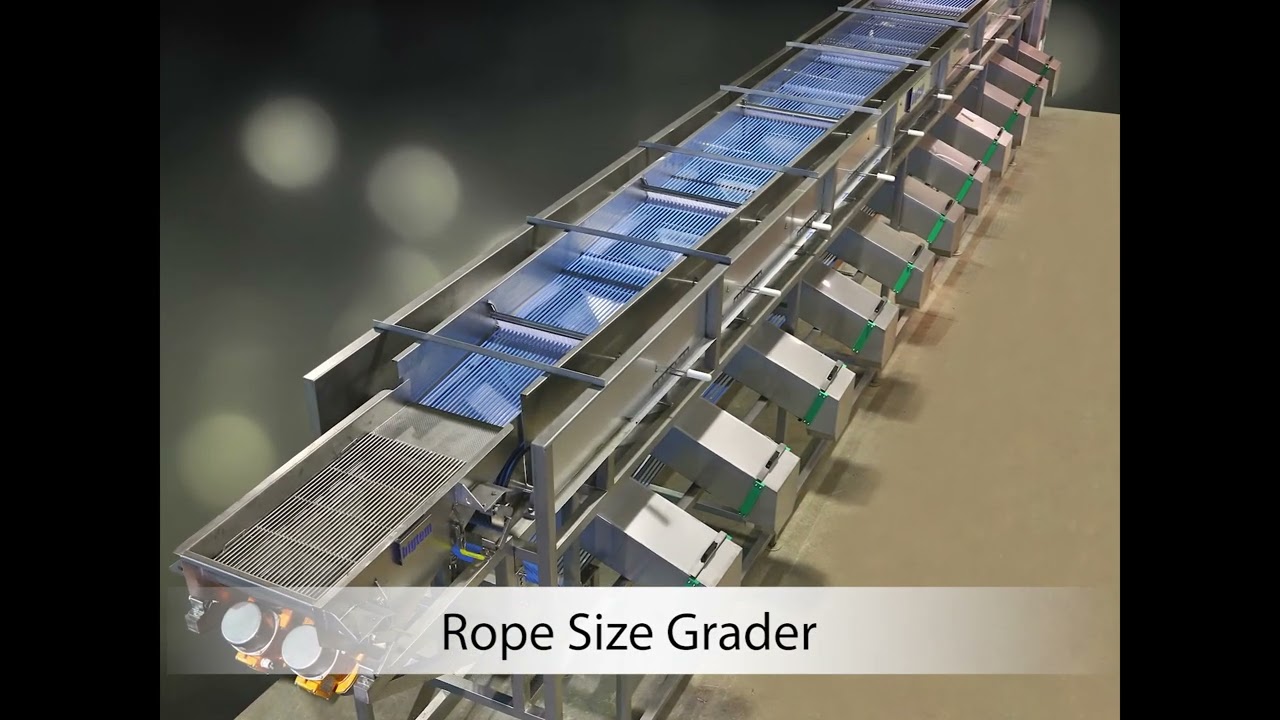 Olive Processing and Filling Line