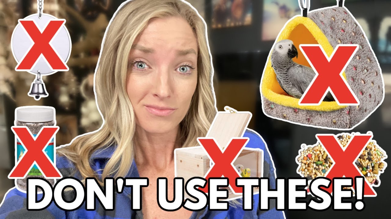 5 BAD Parrot Products 🙅‍♀️❌