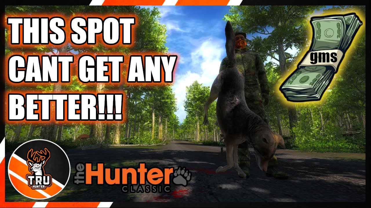Hunting the BEST spot on Whitehart | theHunter Classic