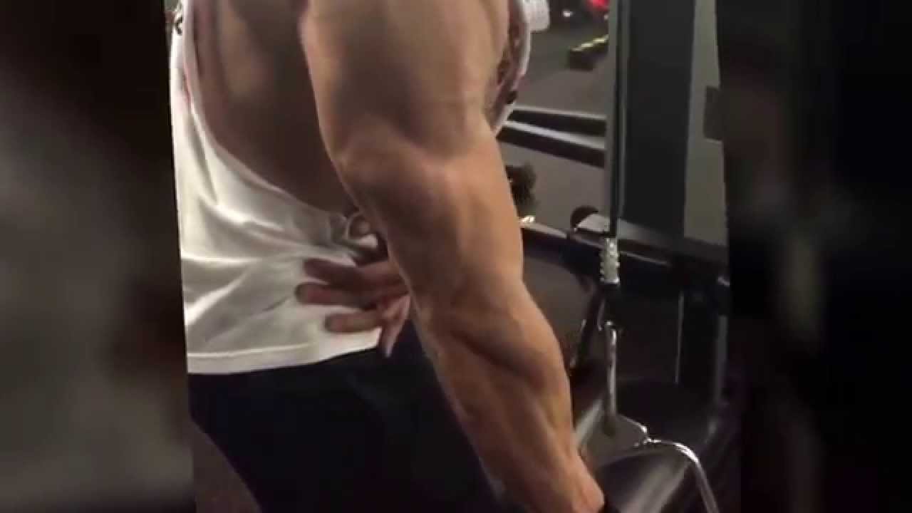 BEAST-ARMSDAY | GYMAHOLIC | PersonalTrainingStudio | JCFitness