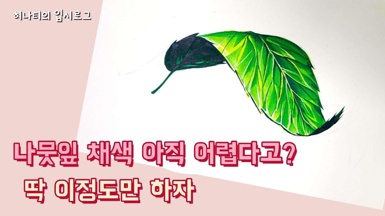 [기초디자인] 🌱나뭇잎 어떻게 그려야할지모르겠다면! 이영상으로 끝내자/입시미술/Drawing Leaves