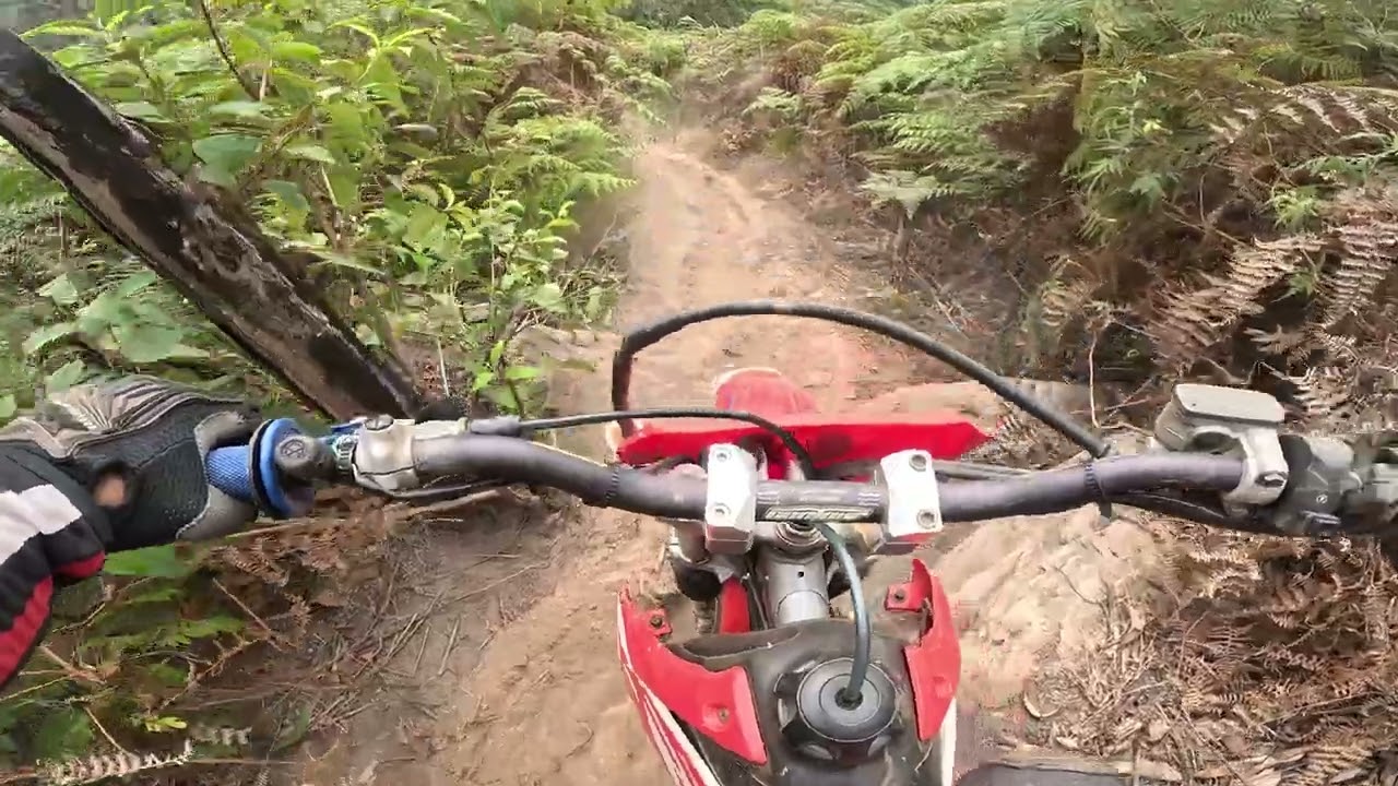 pensa num lugar ruim pra descer kkk trilhão st Antônio do salto #goprohero11black#wallacemotos