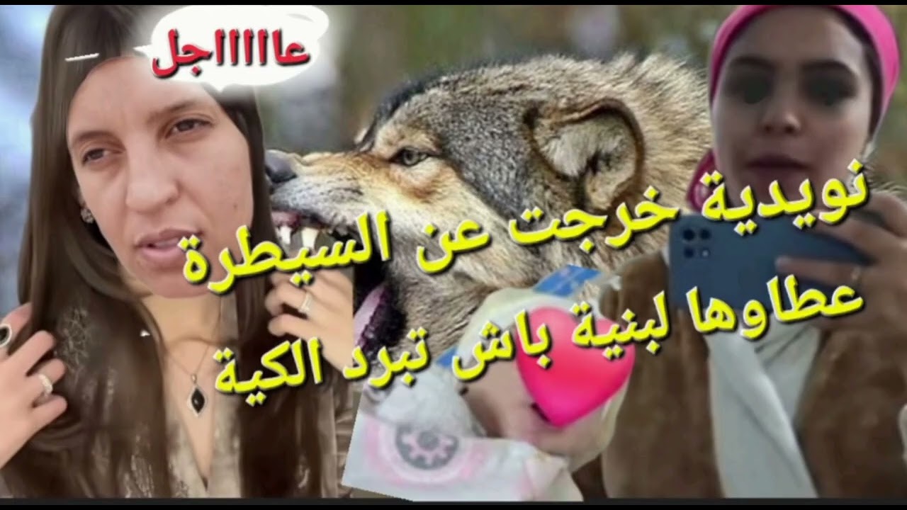 ويلي ويلي على فضيحة 😱😱نويدية خرجت عن السيطرة @Maryamlbadawiya#مي_نعيمة_البدوية #مربوحة_tv 