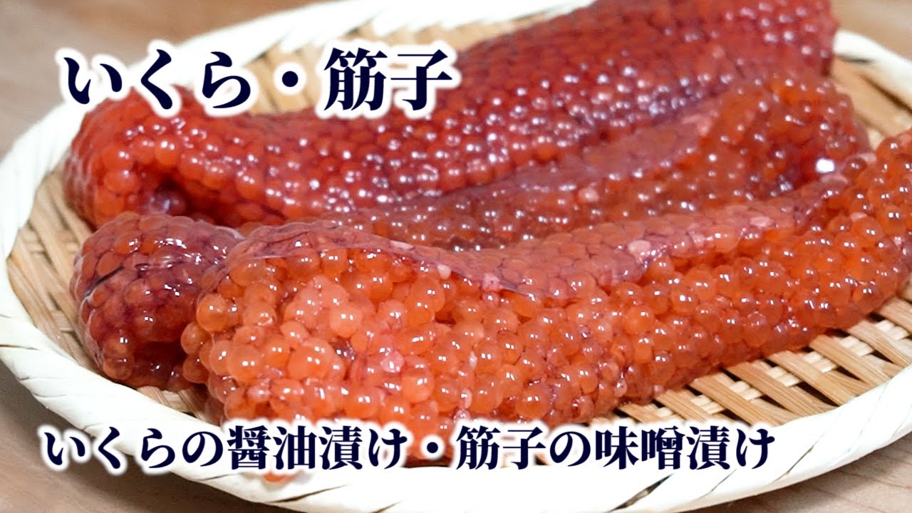 筋子からイクラを上手に取りほぐす方法！いくらの醤油漬け【いくら丼】と筋子の味噌漬けの作り方