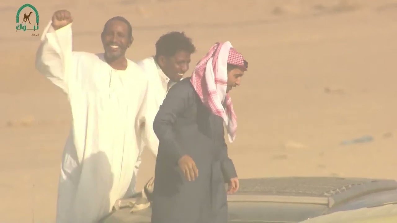 الشوط 3 ثنايا بكار عام رمز مساء يوم السبت 4-11-2023 من #كأس_الأولمبية_السعودية_للهجن