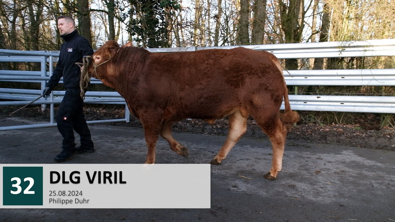 32 DLG VIRIL