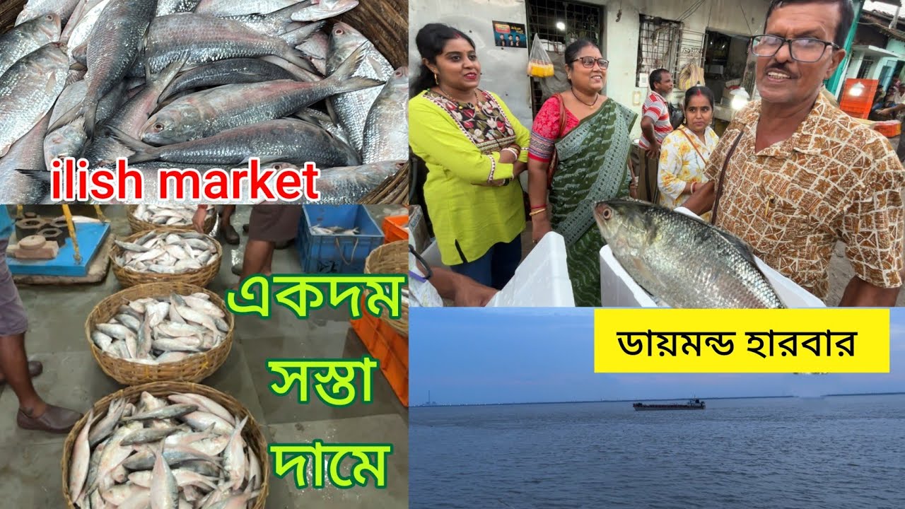 এত সস্তায় ইলিশ😱আর কোথাও পাবেনা|Diamond Harbour ilish Market| নগেন্দ্রবাজারের ইলিশ🐟