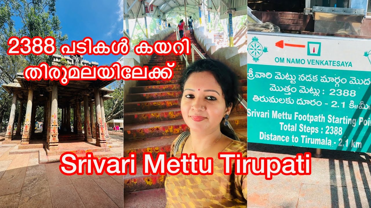 Srivari Mettu To Tirupati 🙏2388 പടികൾ കയറി മലയിലേക്ക്‌ 😳|tirupati|sarisway