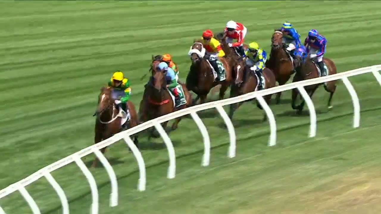 John Dillon Stakes 2026 - REGAL ZEUS (Qlty LR) Listed Caulfield 24 January
