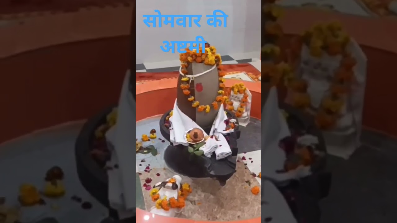pardeep mishra ji ka upay #shortvideo #ytviral #youtube