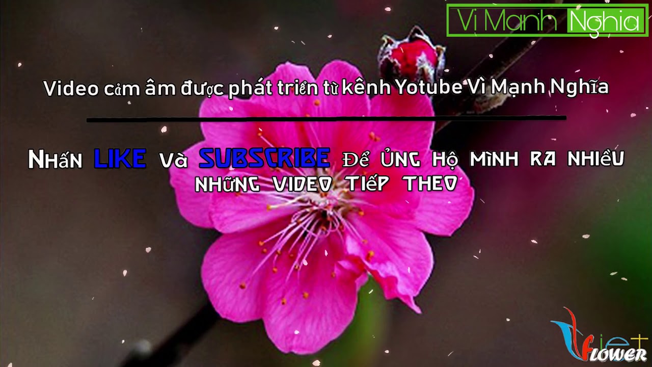 Cảm &acirc;m xu&acirc;n n&agrave;y con kh&ocirc;ng về tone C5 beat độc cực hay