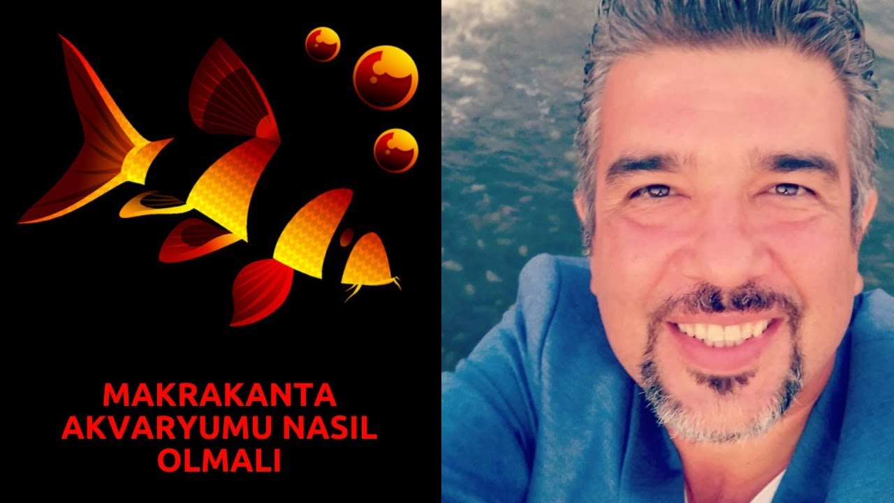 Makrakanta Akvaryumu Nasıl Olmalı? !! (Makrakanta Salyangoz Yer mi Makrakanta Cinsiyet Ayrımı)
