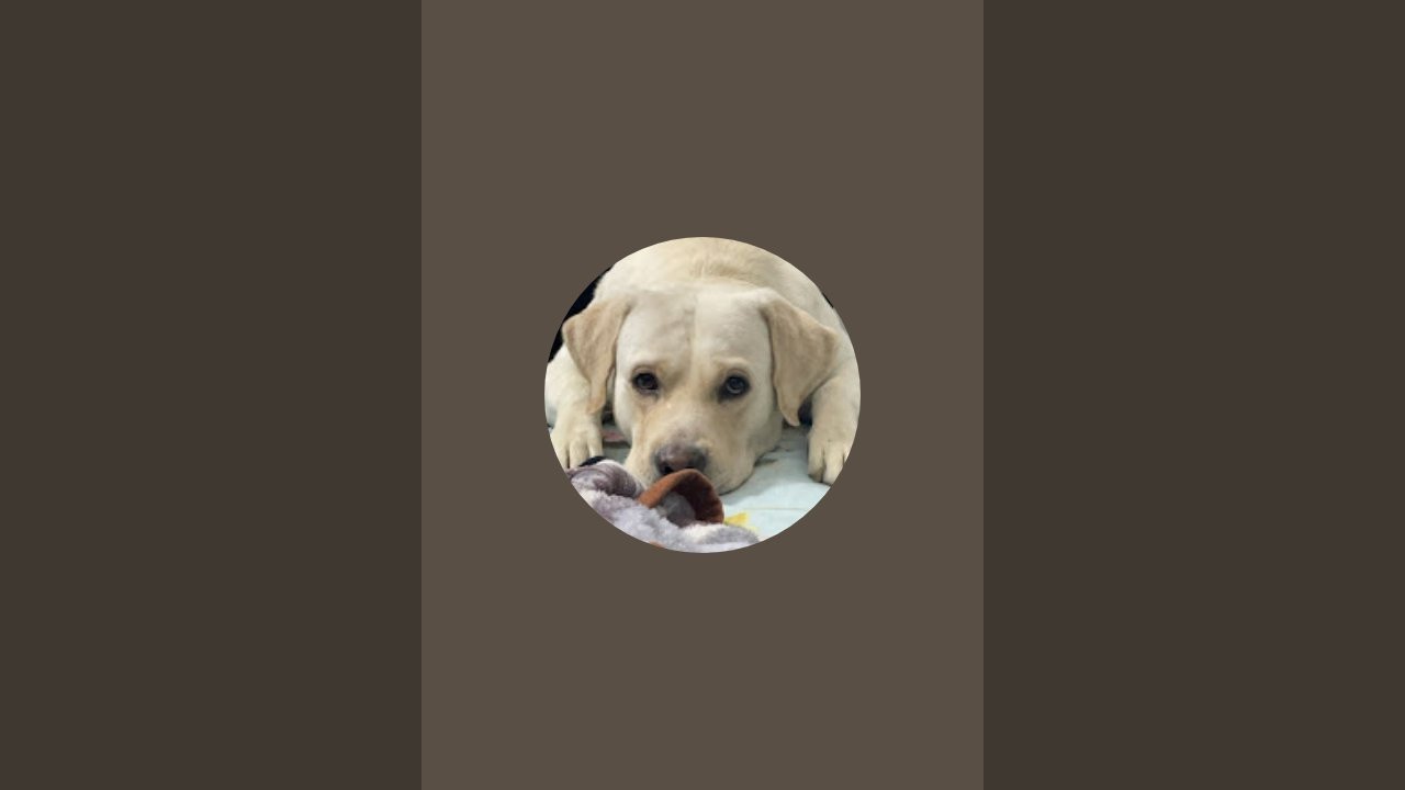 It's me Shree  is live