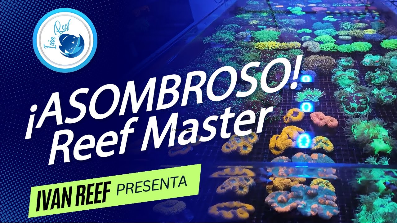 ¡ASOMBROSO! 