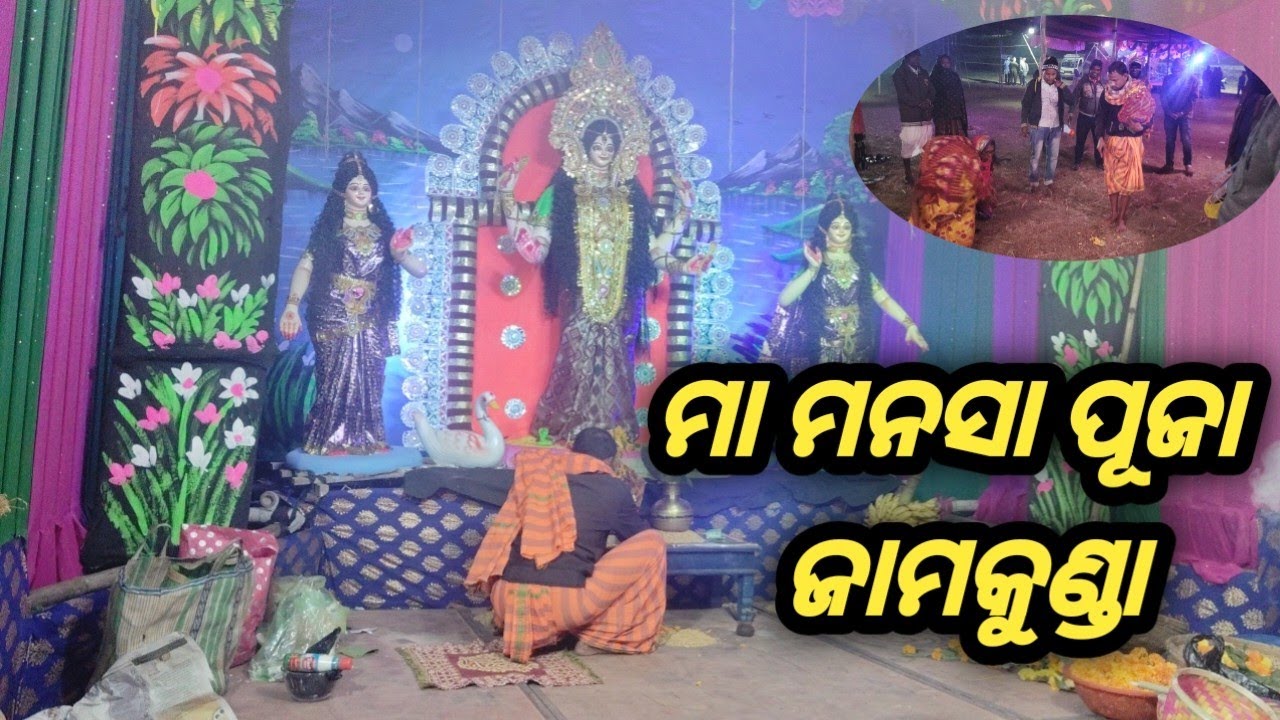 ମନସା ପୂଜା।।୨୦୨୬ ।। ଜାମକୁଣ୍ଡା।। Village manasha puja.jamakunda.😍🤗🤭