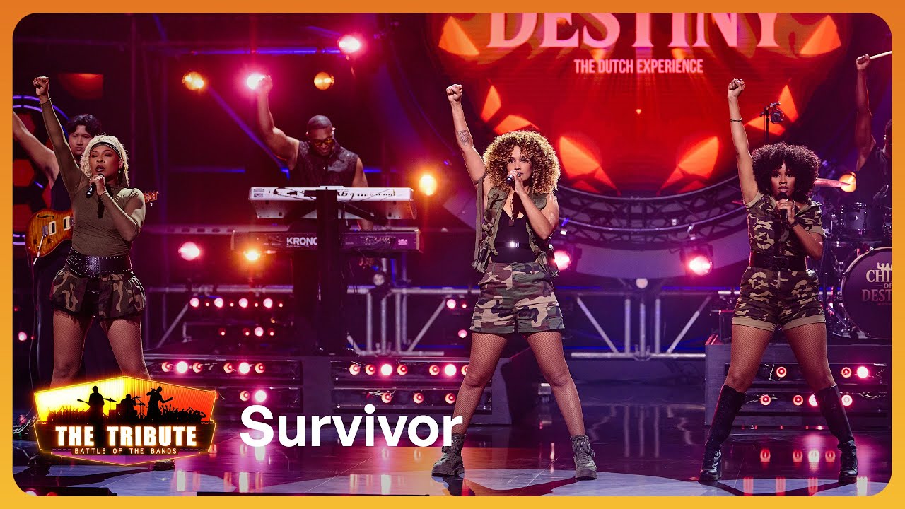Survivor // Child of Destiny // DESTINY'S CHILD COVER // The Tribute