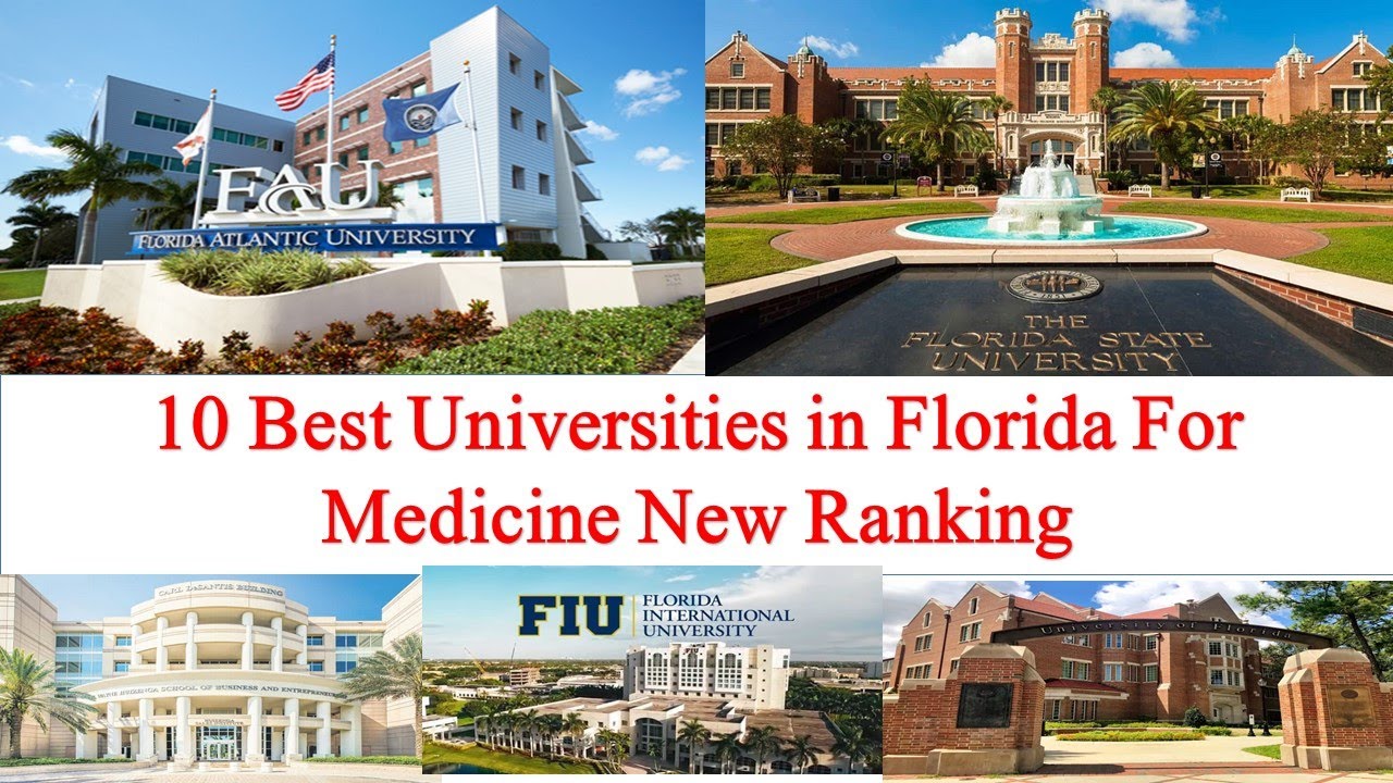 10 Best Universities in Florida For Medicine New Ranking | University of Miami