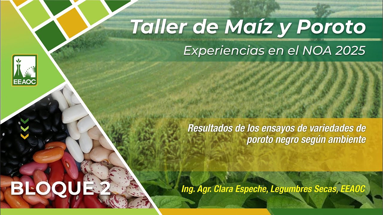 4- Resultado de los ensayos de proto negro. Clara Espeche.