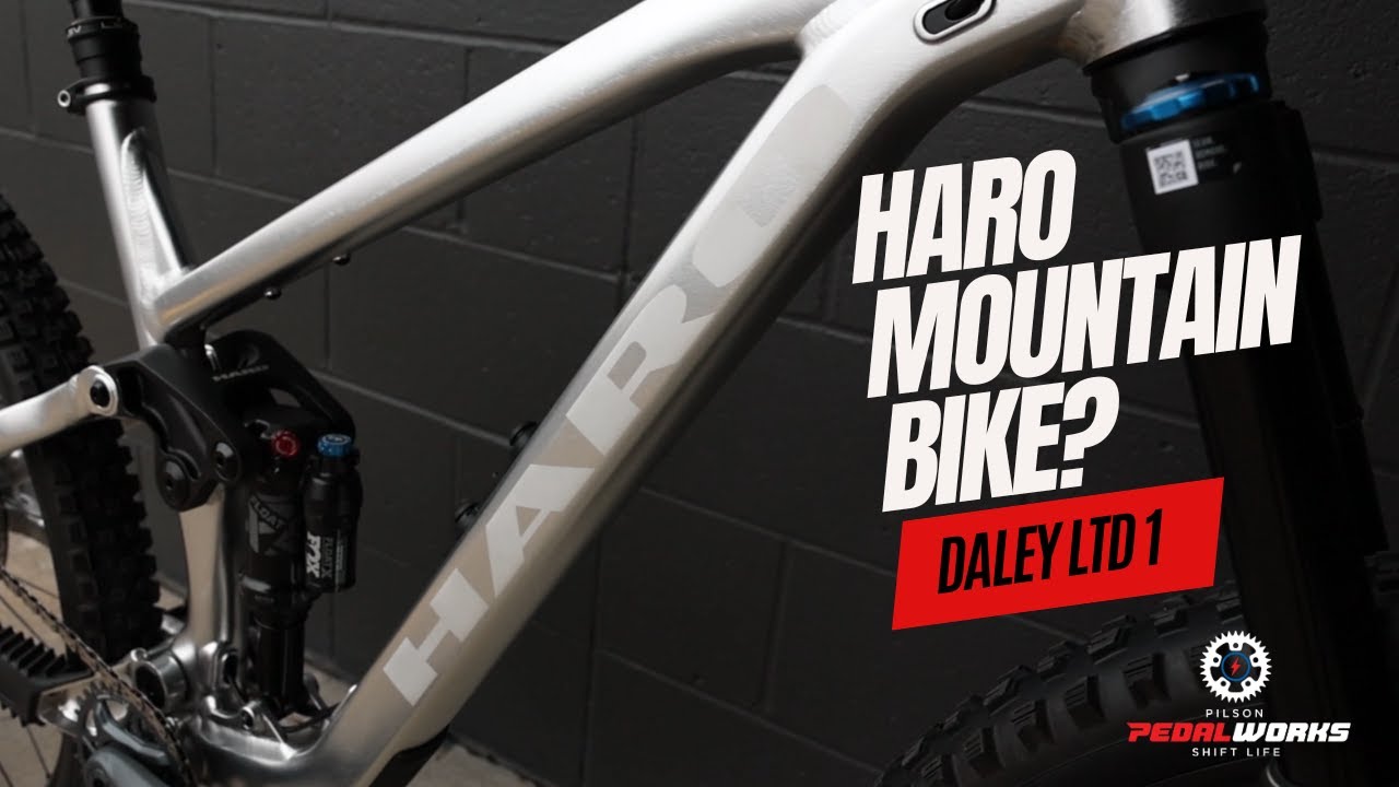 Haro Makes Mountain Bikes? Haro Daley LTD 1