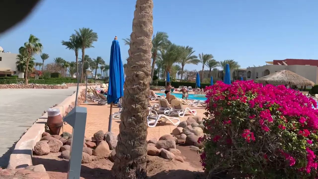 Aurora oriental Sharm el sheikh