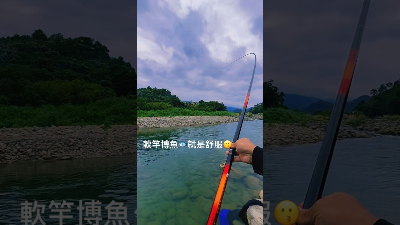 竿子凹了下課魚🐟的節奏 手酸舒服🥰     #fishing #fish #daiwa #本流 #本流釣り #shimano #gamakatsu #卡斯米80