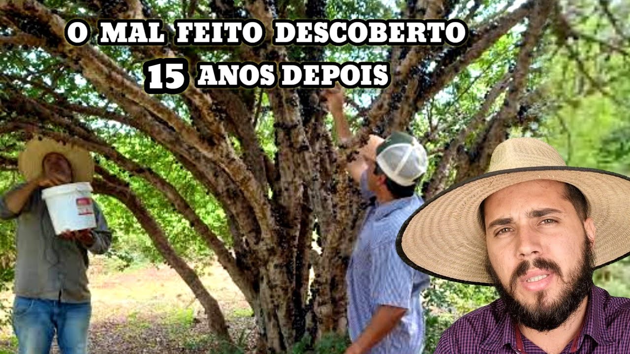 O Cumpadi que matou o outro pra comprar a Terra dele e 15 anos depois foi descoberto