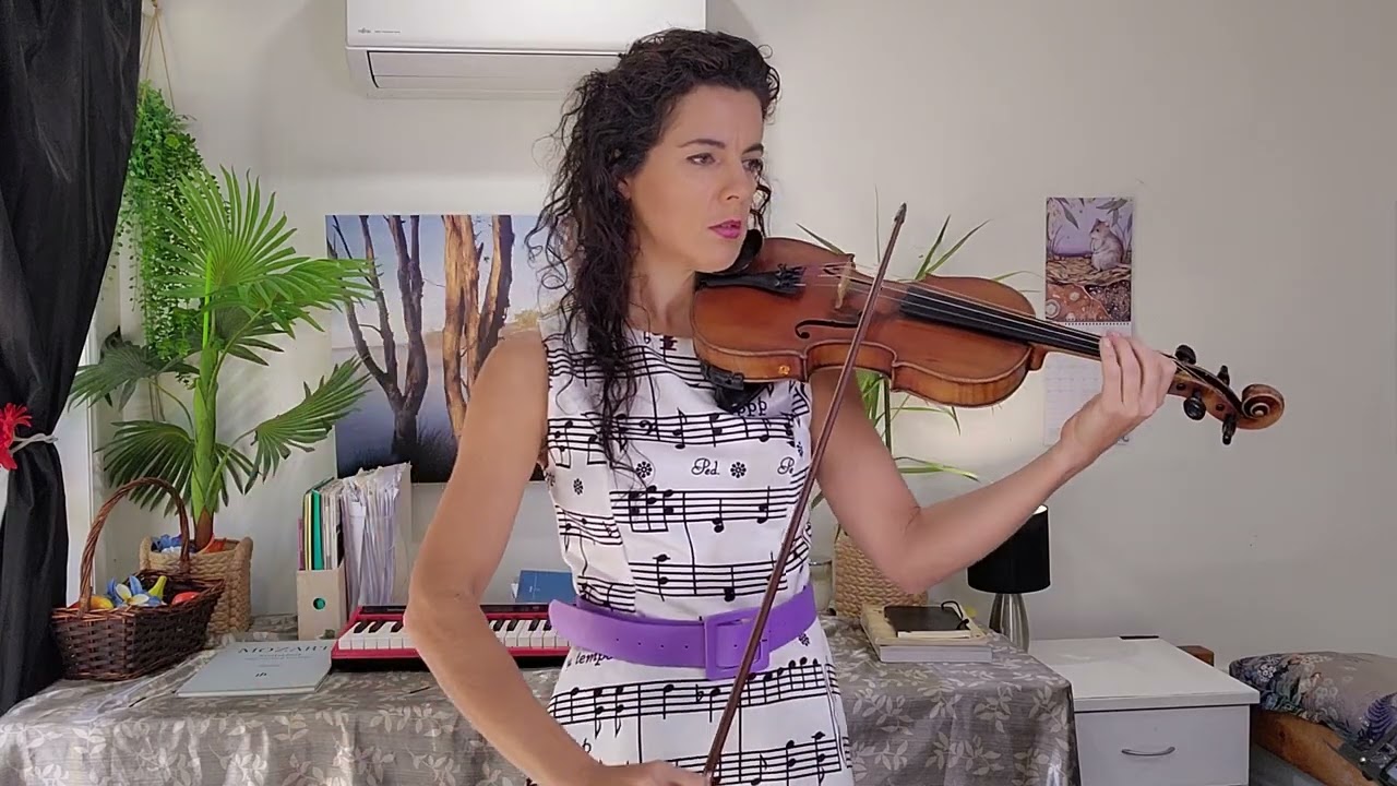 Seitz Student Violin Concerto No. 4 op 15 3rd Movement Slow Tempo Violin with Piano Accompaniment