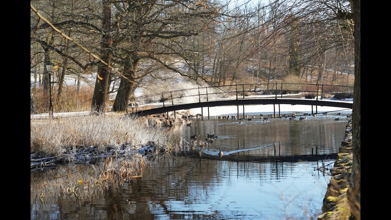 Finspångs slott en kall vinterdag #zve10