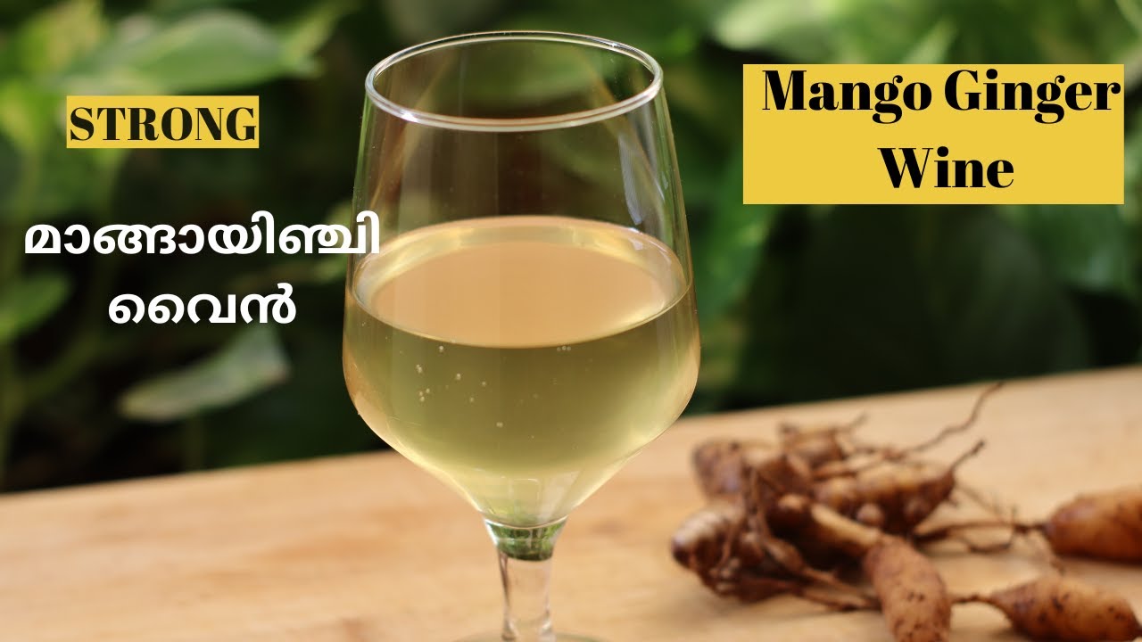 മാങ്ങായിഞ്ചി  വൈൻ|Manga Inji Wine|Inchi | Mango Ginger Wine | STRONG wine Recipe Malayalam Panach