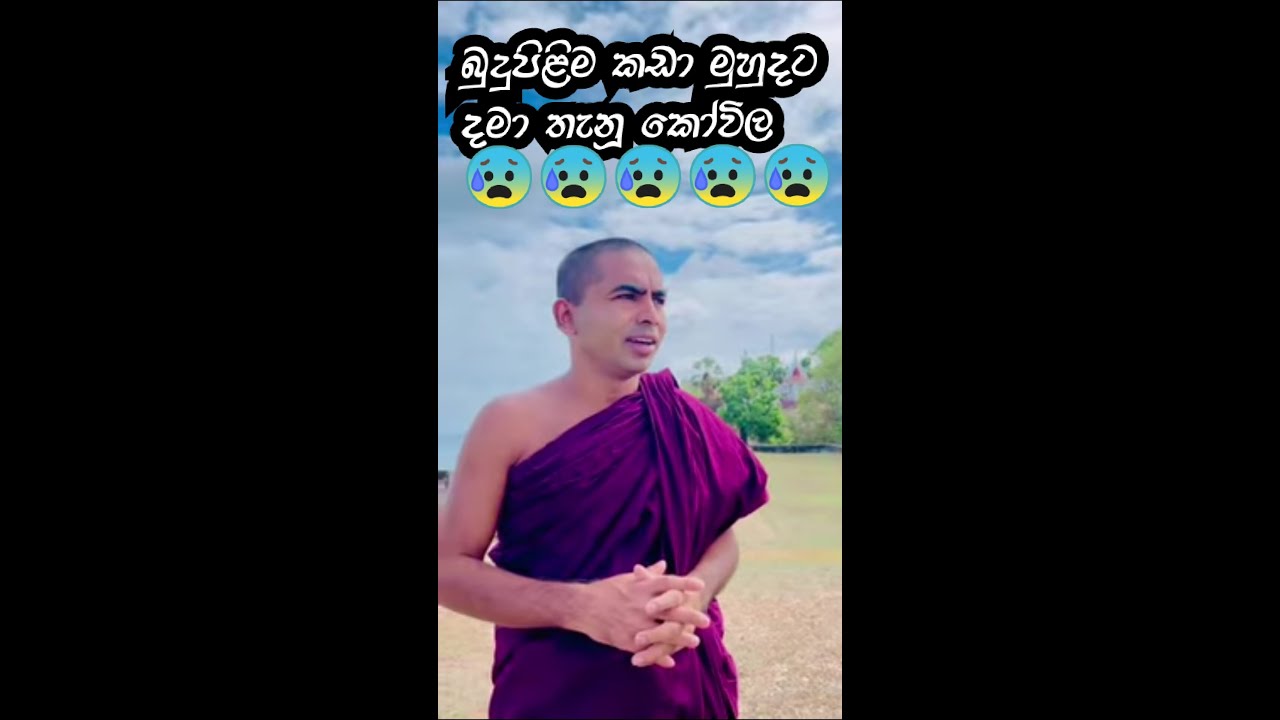 බුදුපිලිම කඩා මුහුදට දමා තැනූ කෝවිල 😥😥😥මේකත් පෘතුගීසි ආයුධ ගබඩාවක්  #sandagiriseya