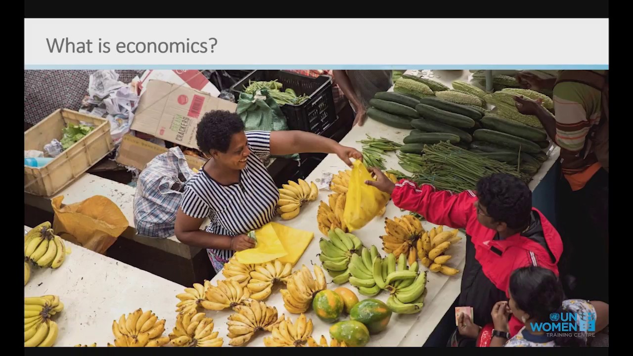 Why does a Development Practitioner need to Know Feminist Economics?