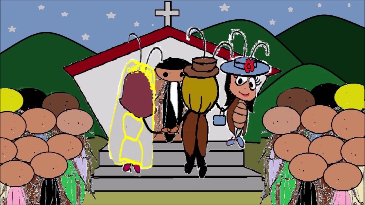 O CASAMENTO DA DONA BARATINHA