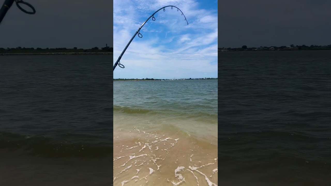 Penn Slammer 3 & Star Rod Stellar Lite 8&rsquo; Catching Sharks