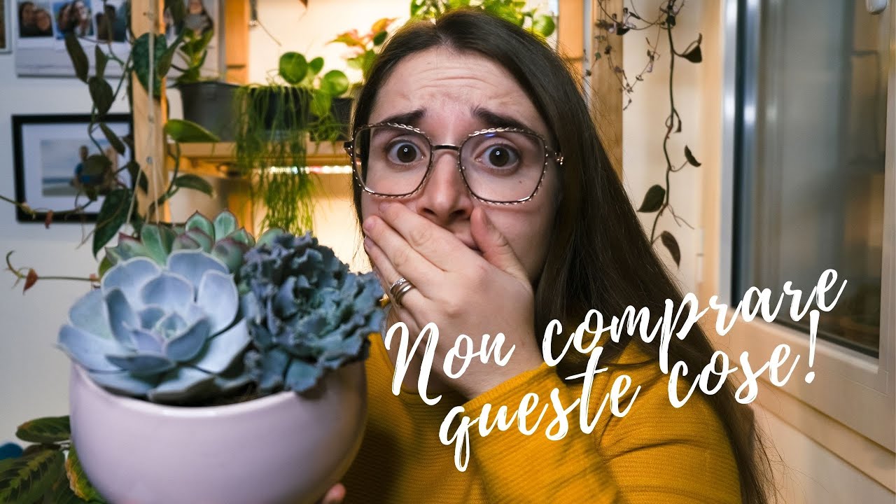 PIANTE GRASSE: Acquisti CONSAPEVOLI e REGALI PIANTOSI | Cosa non comprare!