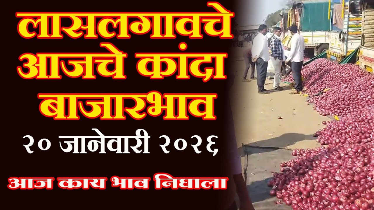 लासलगाव बाजार समितीच्या 20 जानेवारीच्या आजचे कांदा बाजार भाव Lasalgaon onion market price today