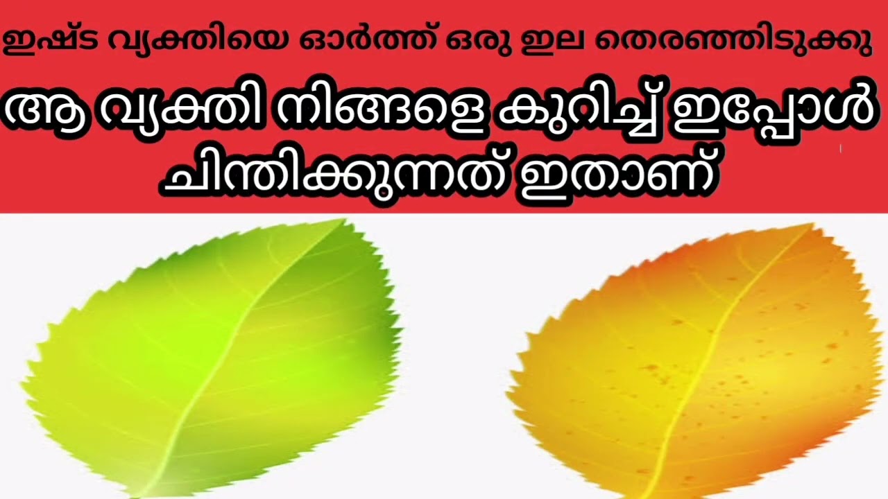 വ്യക്തി നിങ്ങളെക്കുറിച്ച് എന്ത് ചിന്തിക്കുന്നു
