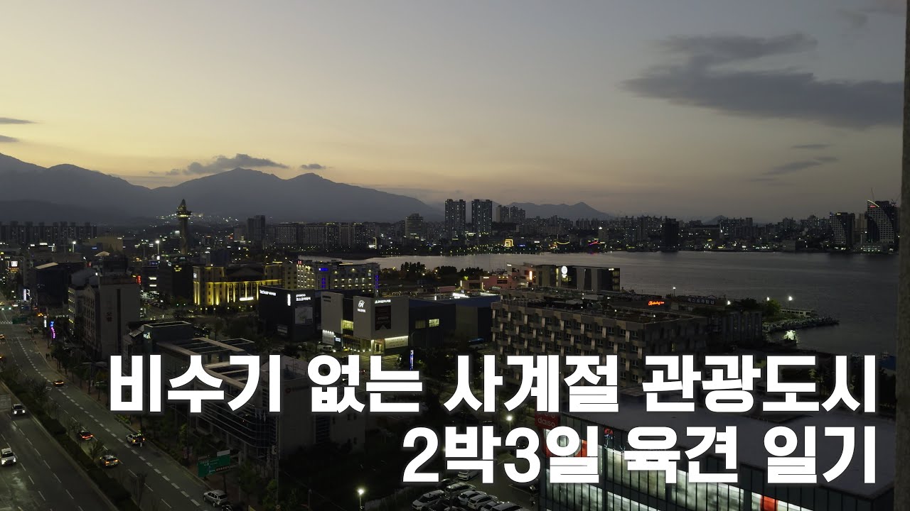 속초 애견동반 여행의 정석! 40대 아재와 강아지가 함께한 2박 3일 브이로그