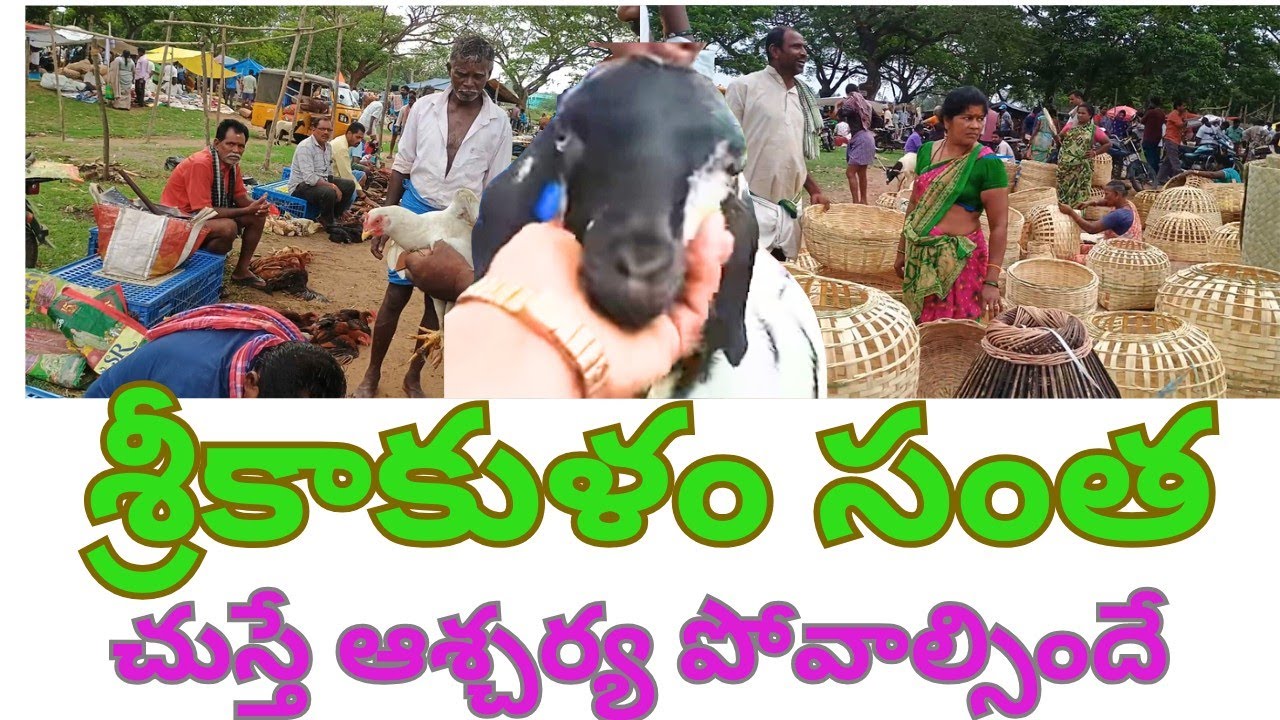 tribal santha in telugu | Srikakulam District Village Market | #VILLAGEVENKAT